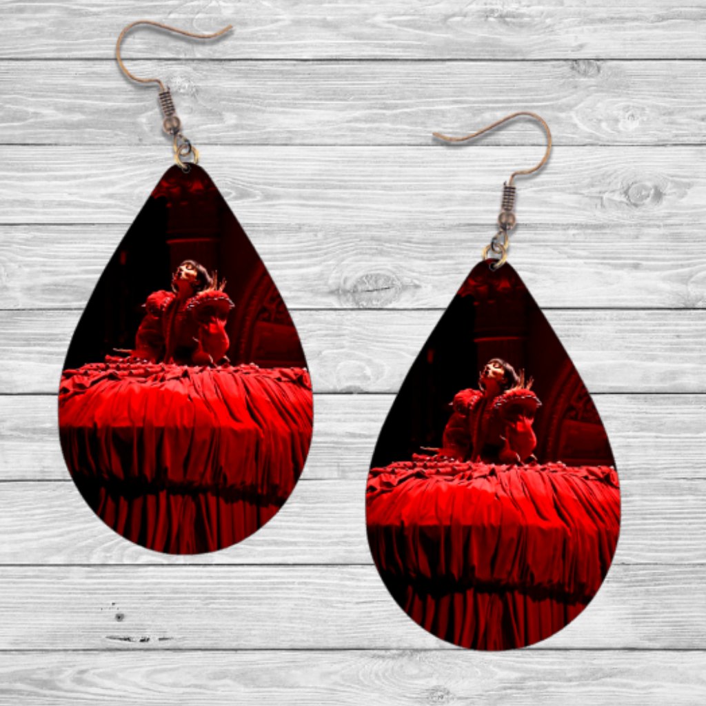 Lady Gaga Earrings